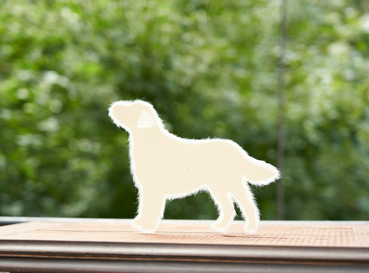 Washi犬