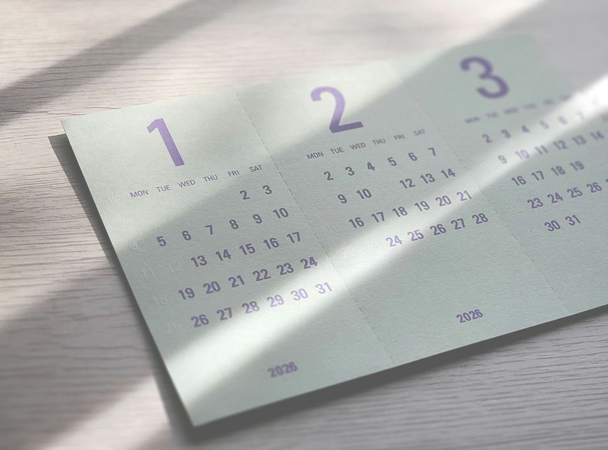 Re+g Triangular　リプラグ　トライアングラー