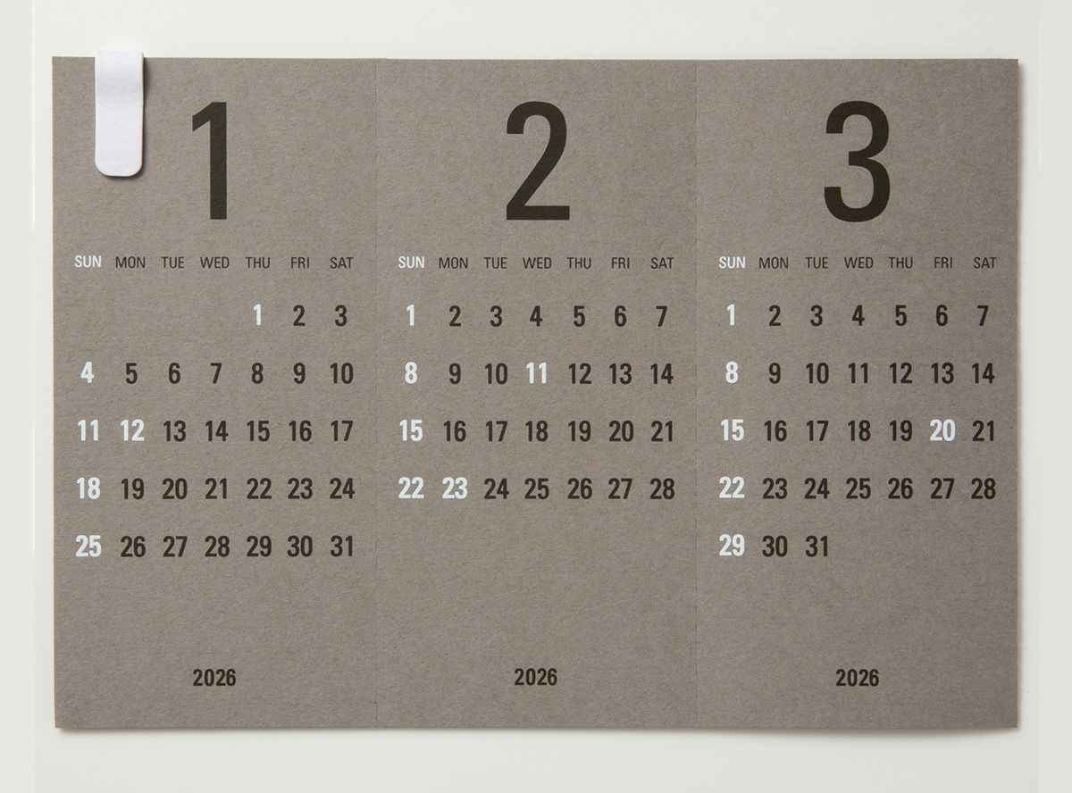 Re+g Triangular　リプラグ　トライアングラー