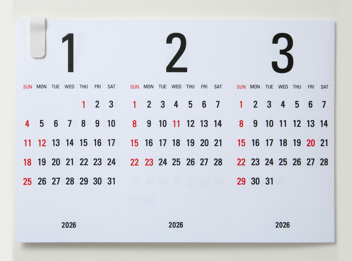 Re+g Triangular リプラグ　トライアングラー　x3セット