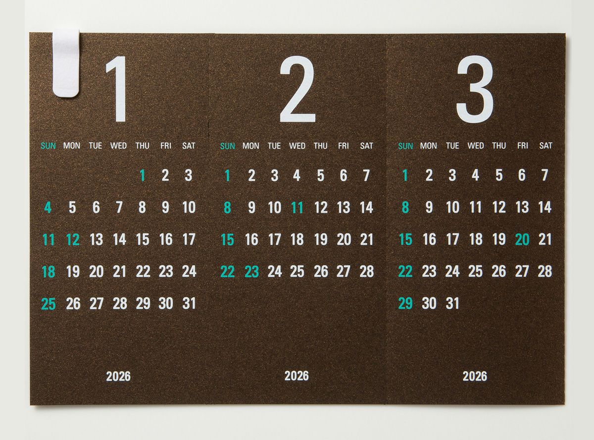 Re+g Triangular リプラグ　トライアングラー　x3セット