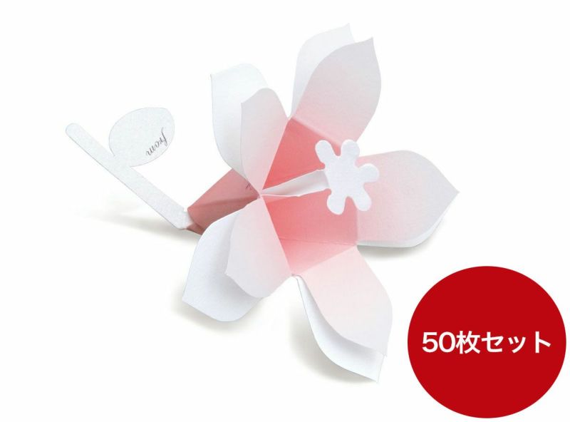 ＜まとめ買いセット＞Hana-kotoba Bouquet （50枚入）