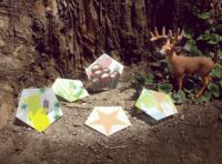 グラシンペーパーぽち袋 【五角形セット】