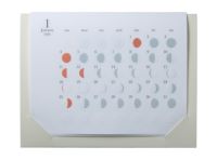 月の満ち欠けカレンダー ミチルmini まとめ買い10部セット