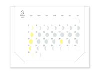 月の満ち欠けカレンダー ミチルmini まとめ買い10部セット