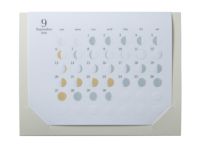 月の満ち欠けカレンダー ミチルmini まとめ買い10部セット