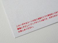 リプラグ年賀状2023【ウサギ】（10枚）