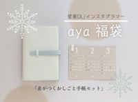 〈福袋〉営業OL/インスタグラマー aya 「差がつくおしごと手帳セット」